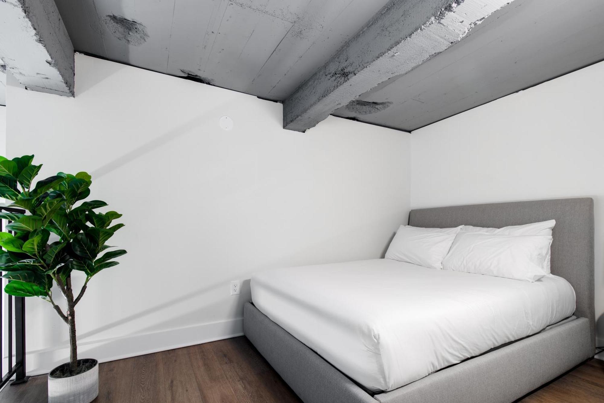 The Ledger Residences By Sosuite - Old Aparthotel *
